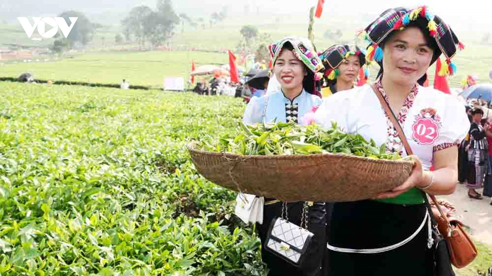 Lai Châu chuyển mình mạnh mẽ từ nông nghiệp xanh và bền vững